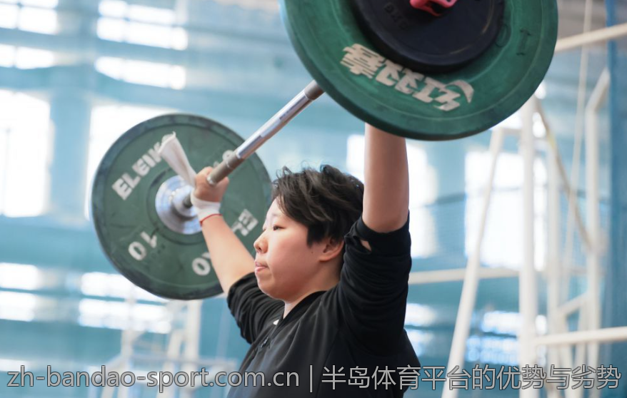 半岛体育平台的优势与劣势