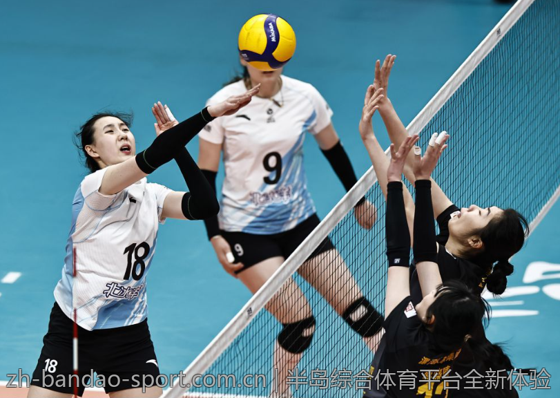 半岛综合体育平台全新体验